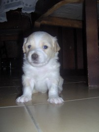 Rosita =D